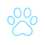 Seguro para Animais de Companhia